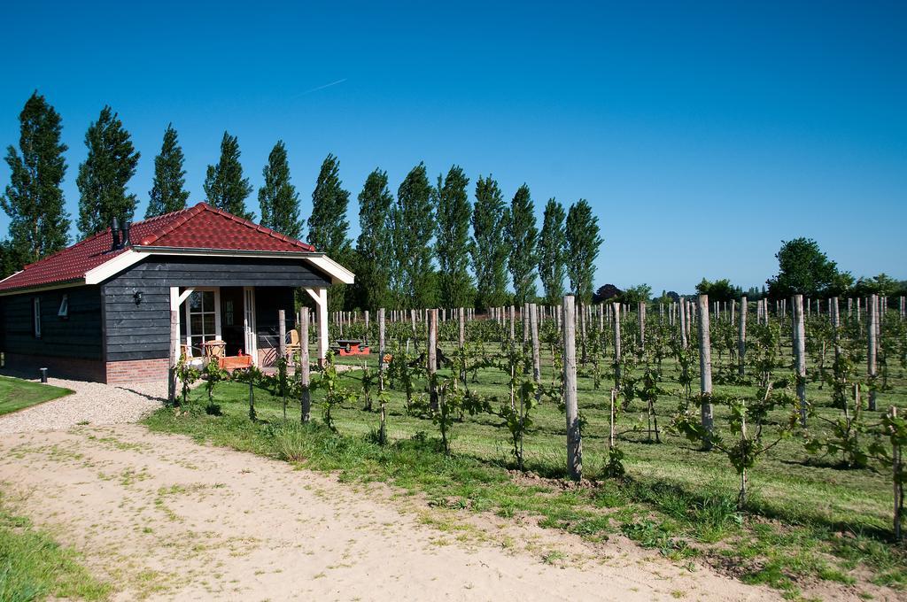 Park Nieuwgrapendaal Hotel Terwolde Екстериор снимка